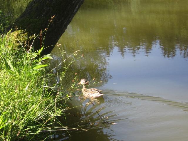 Záchranáři, Vltava 2007 > obr (16)